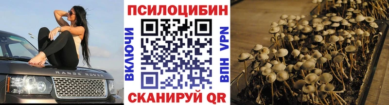 Псилоцибиновые грибы MAGIC MUSHROOMS  Ивантеевка 