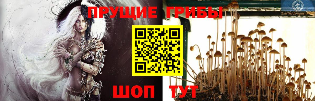 Ивантеевка  Галлюциногенные грибы мухоморы  дарнет шоп  Вход с VPN 